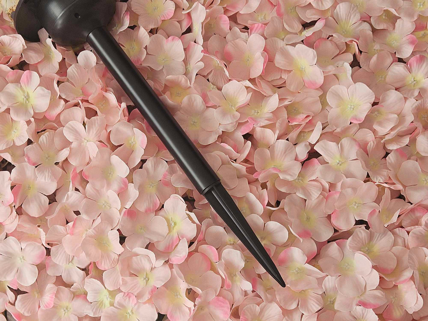 Memorial Solar Light